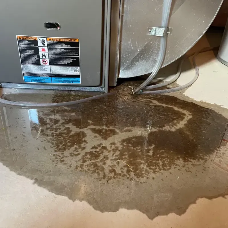 Appliance Leak Cleanup in Perry County, AL